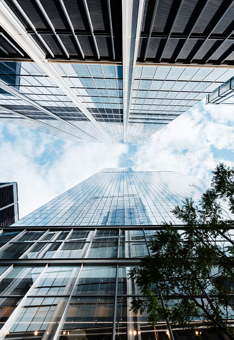 mavera tesis yönetim